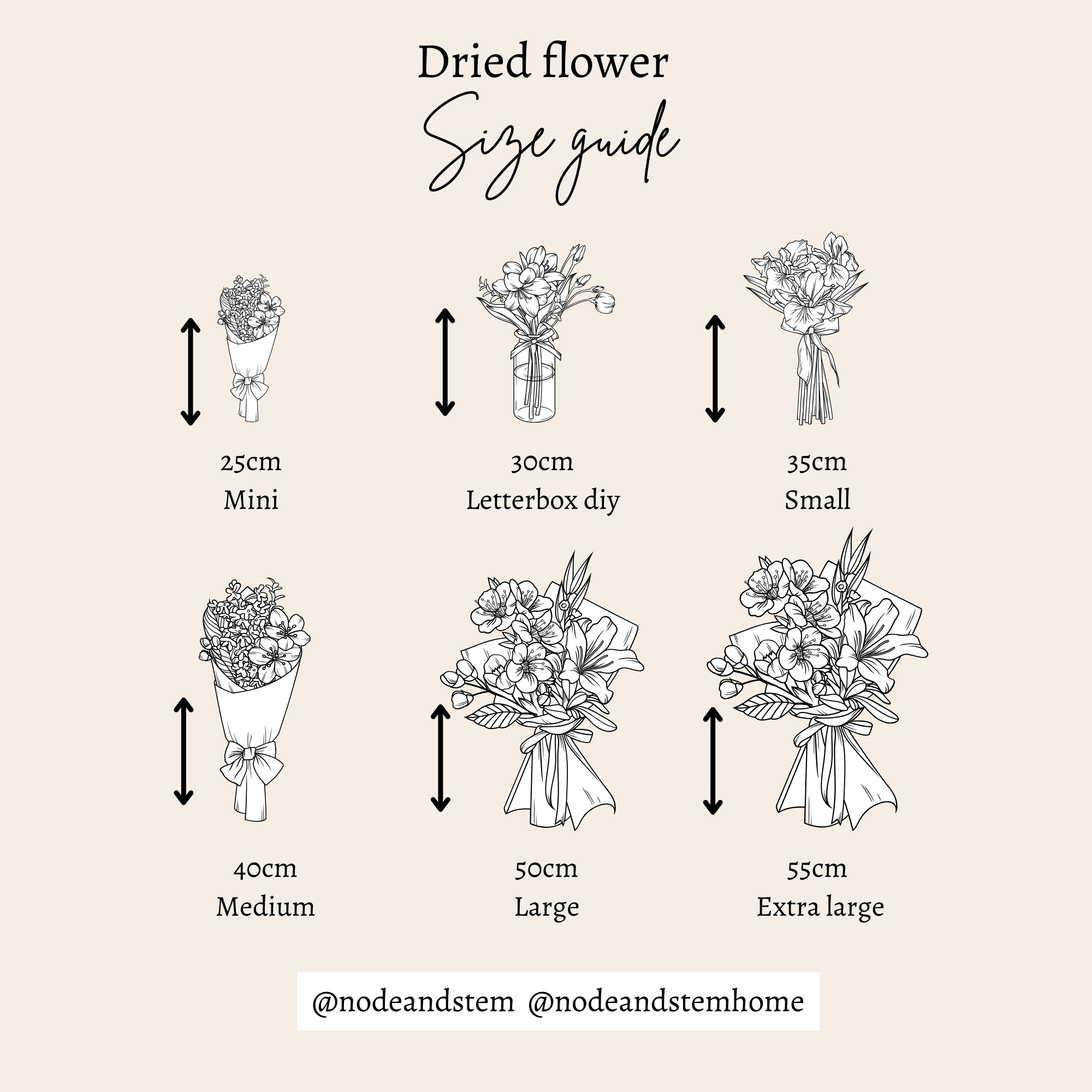 Sorrel | Autumn Dried Flower Bouquet