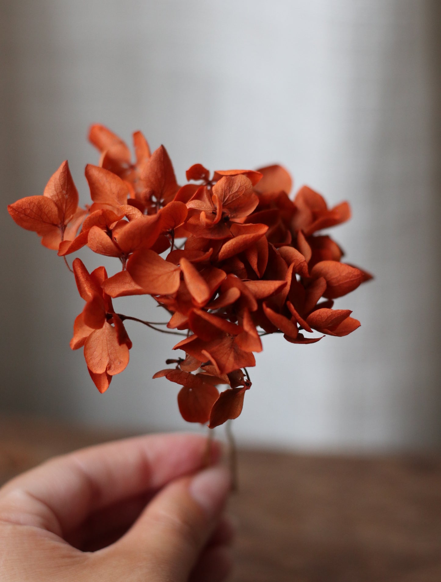 Edith | Autumn Dried Wedding Bouquet,