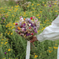 Florence |  Cottage Garden Bouquet