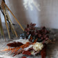 Bronte Autumn Pampas Dried Bouquet