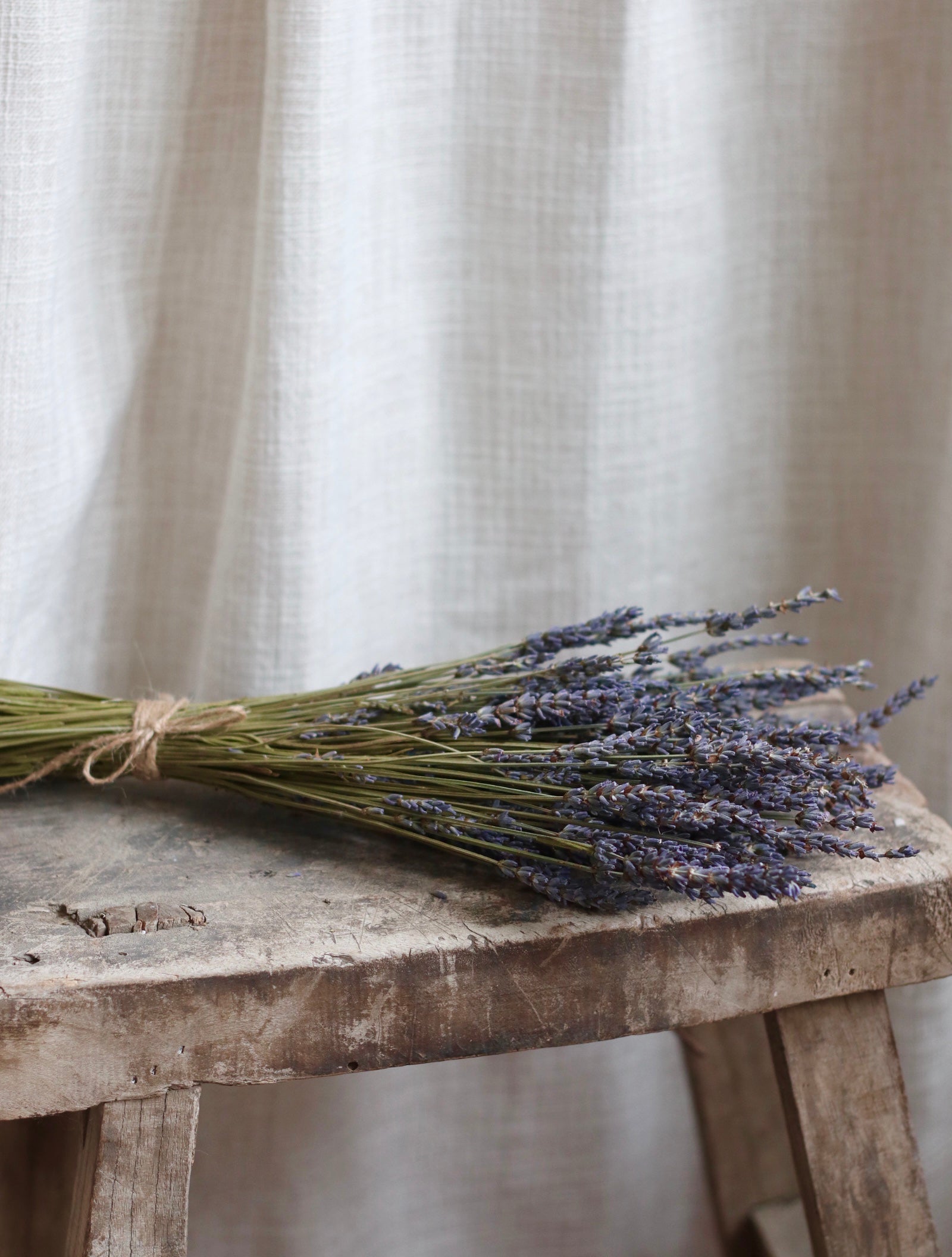 Dried Lavender Bouquet