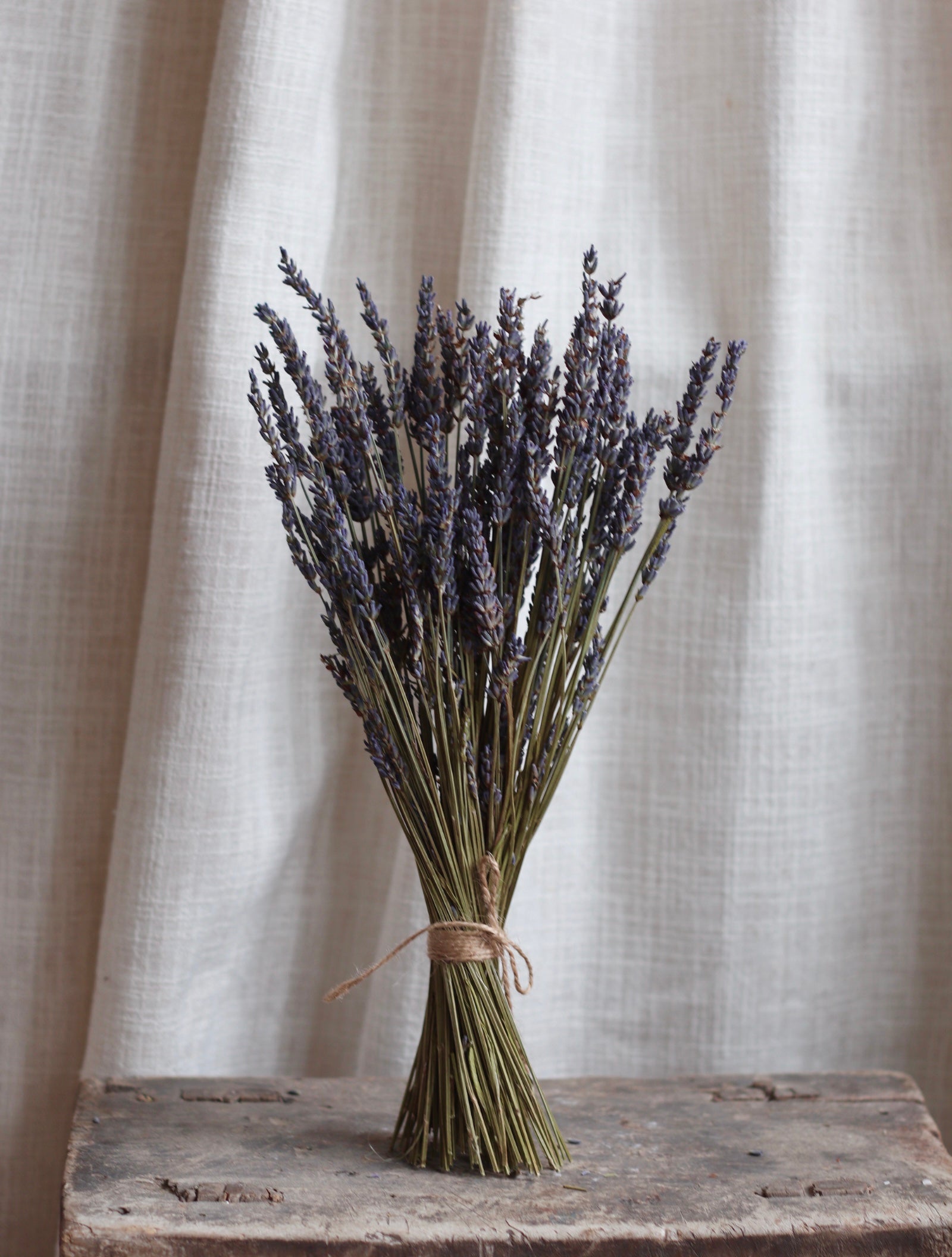 Dried Lavender Bouquet