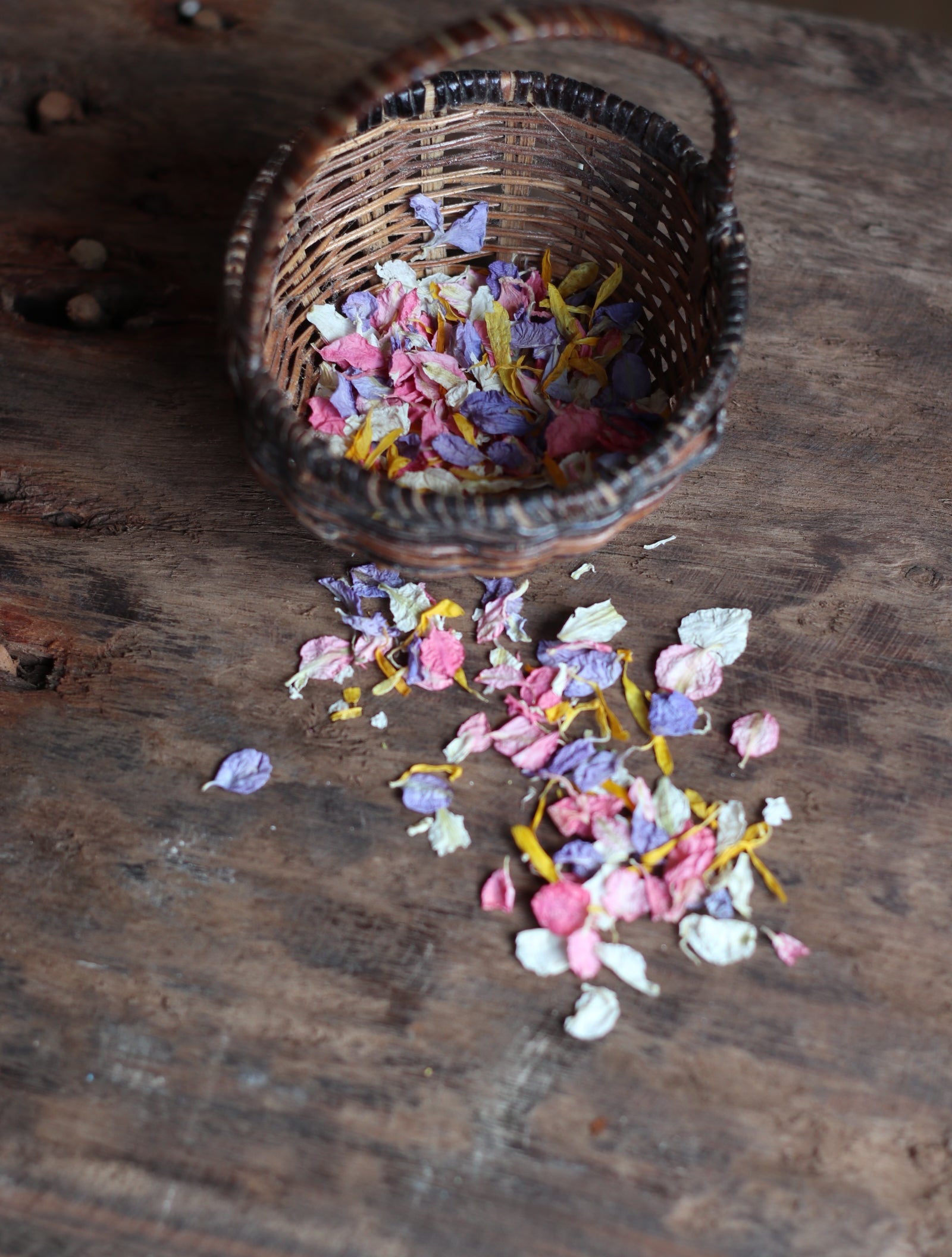 Summer Dried Flower Confetti Bags