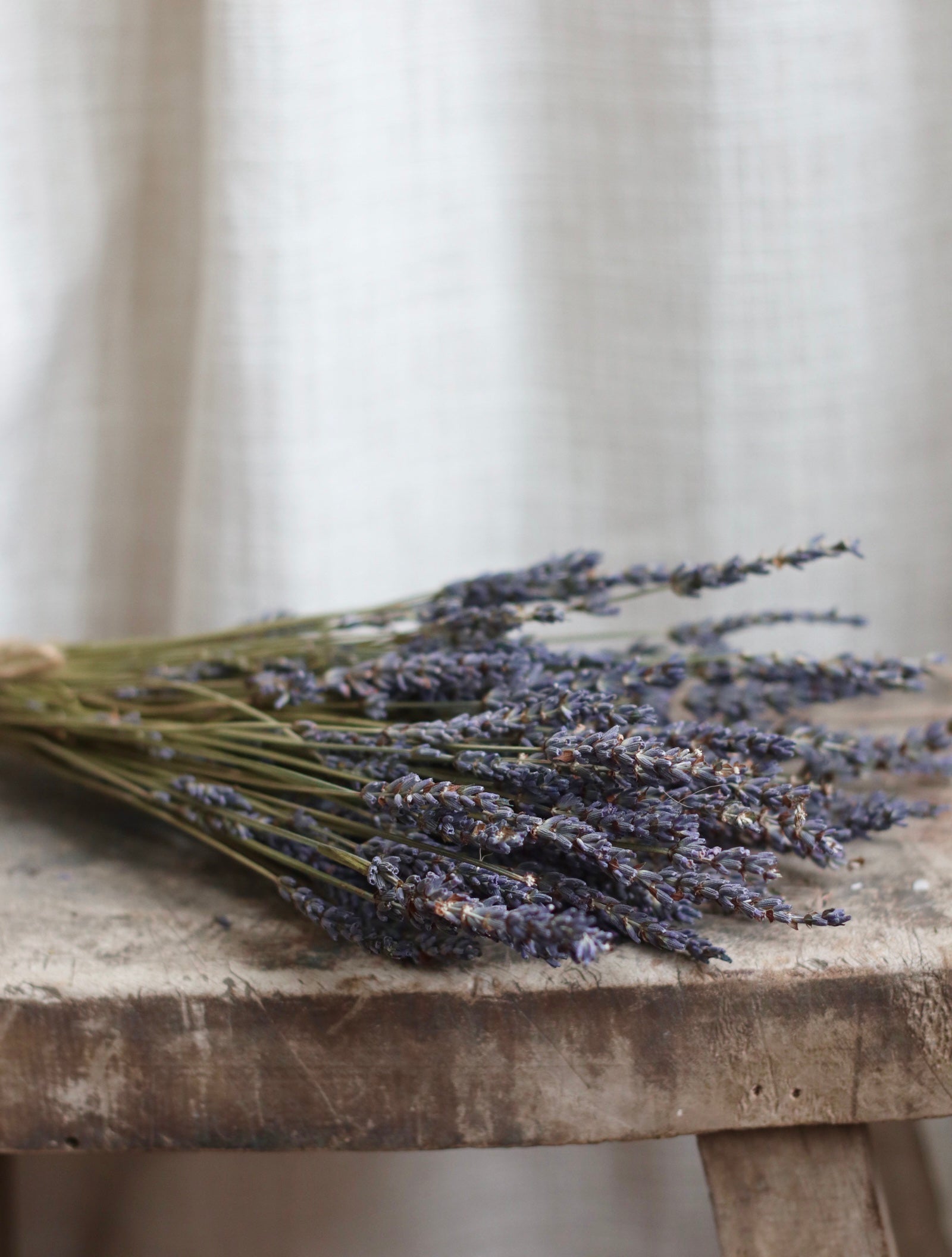 Dried Lavender Bouquet
