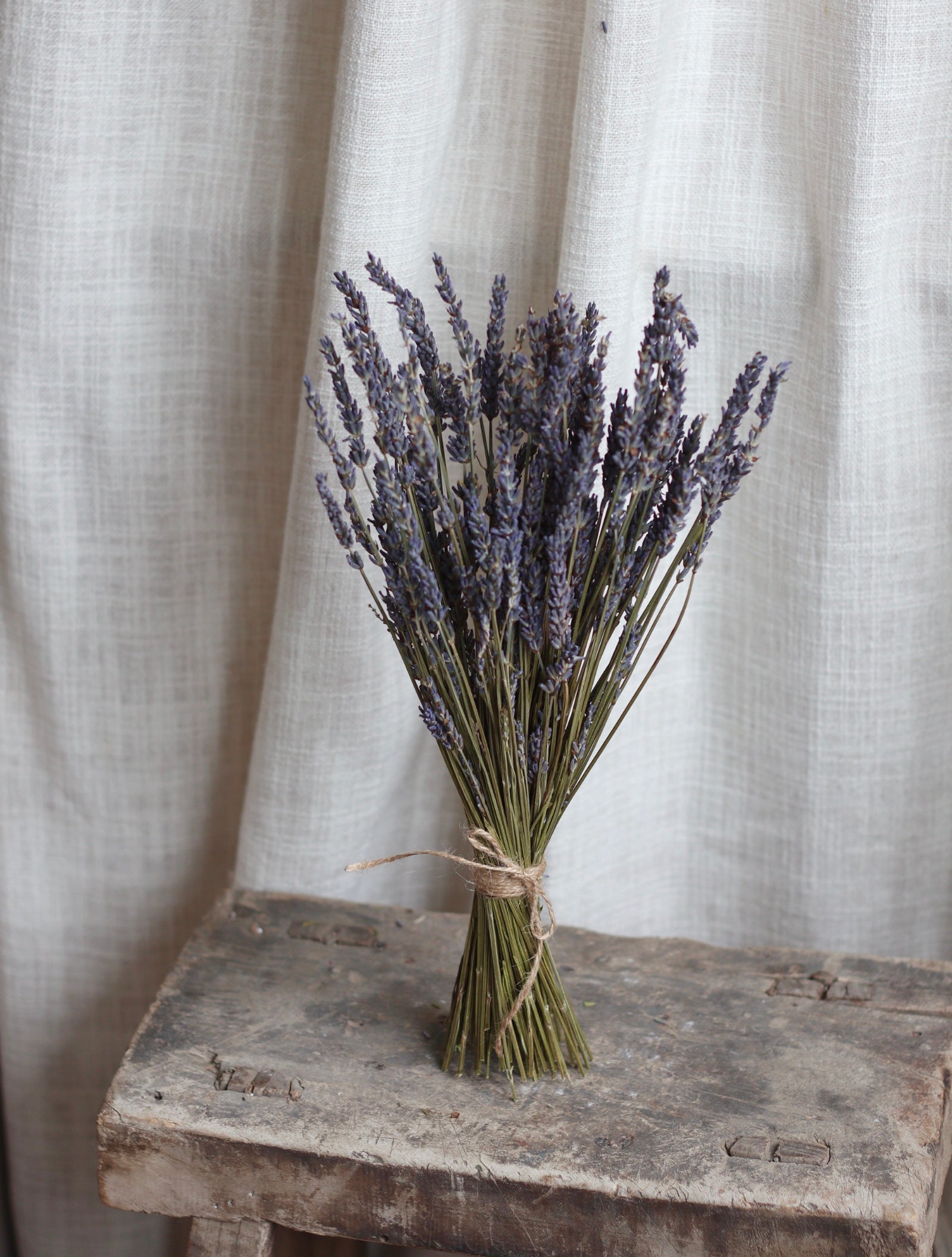 Dried Lavender Bouquet