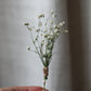 Dried Flower Hair Pins