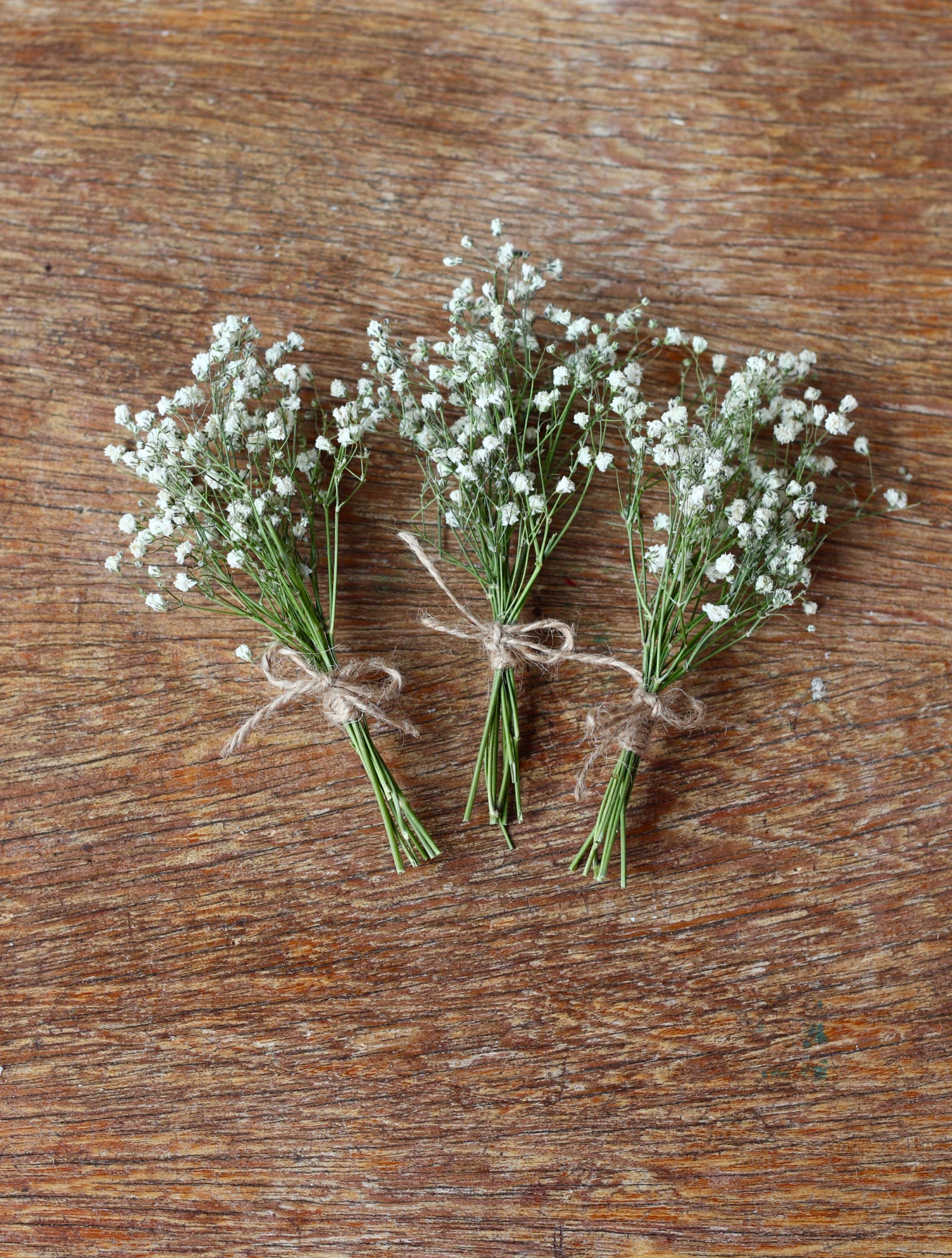 Mini Gypsophila Bouquet