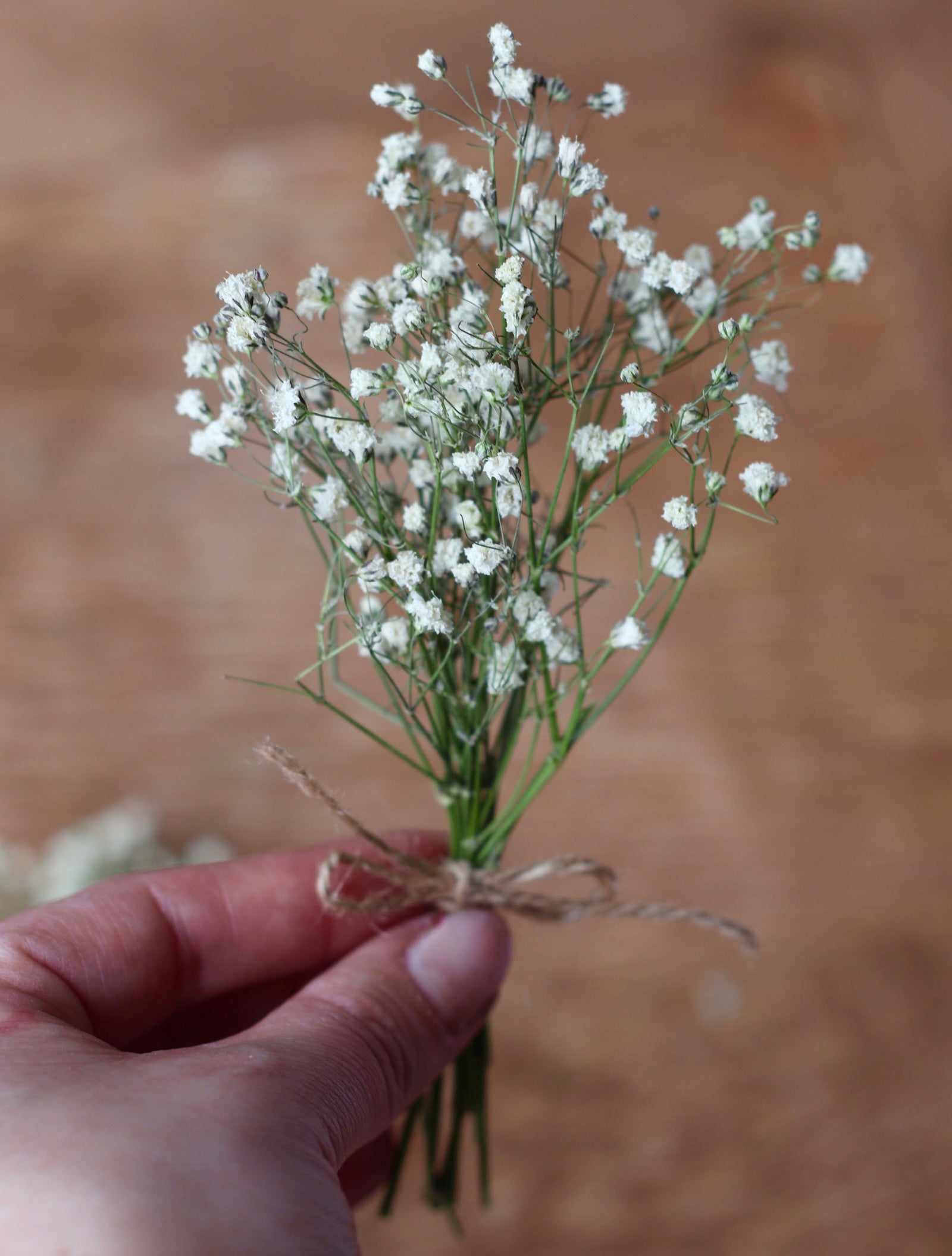 Mini Gypsophila Bouquet