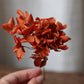 Edith | Autumn Dried Wedding Bouquet,