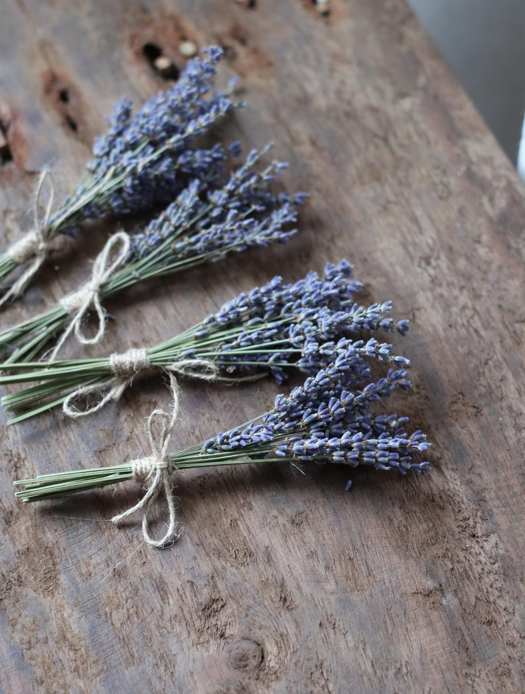 Mini Lavender Bouquet