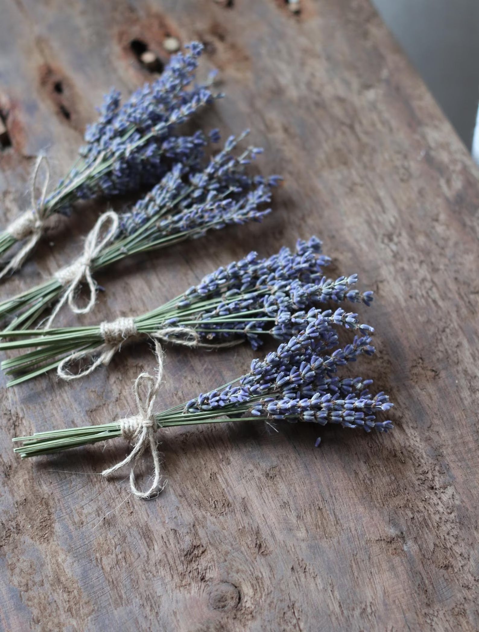 Mini Lavender Bouquet