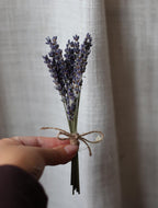Mini Lavender Bouquet