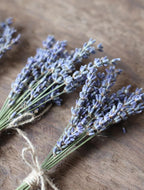 Mini Lavender Bouquet