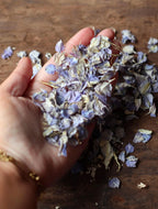 Blue Dried Flower Confetti Bags