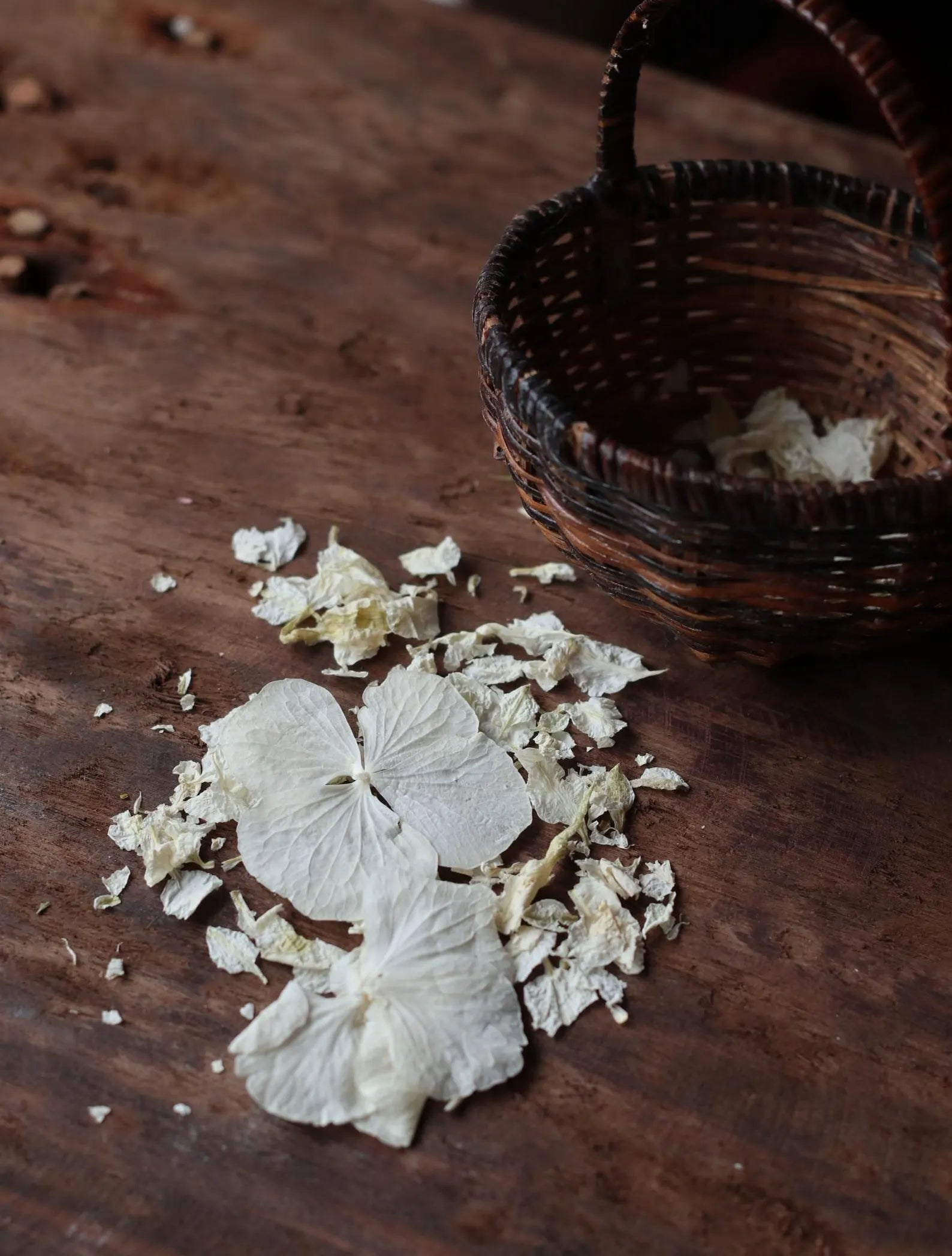 Ivory Dried Flower Confetti Bags