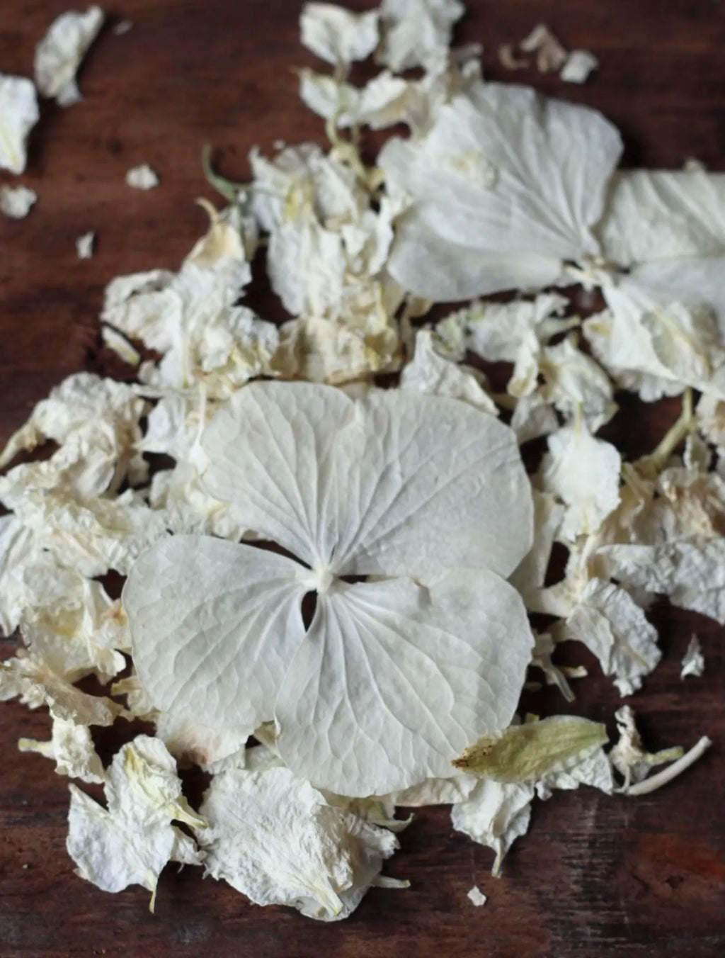 Ivory Dried Flower Confetti Bags