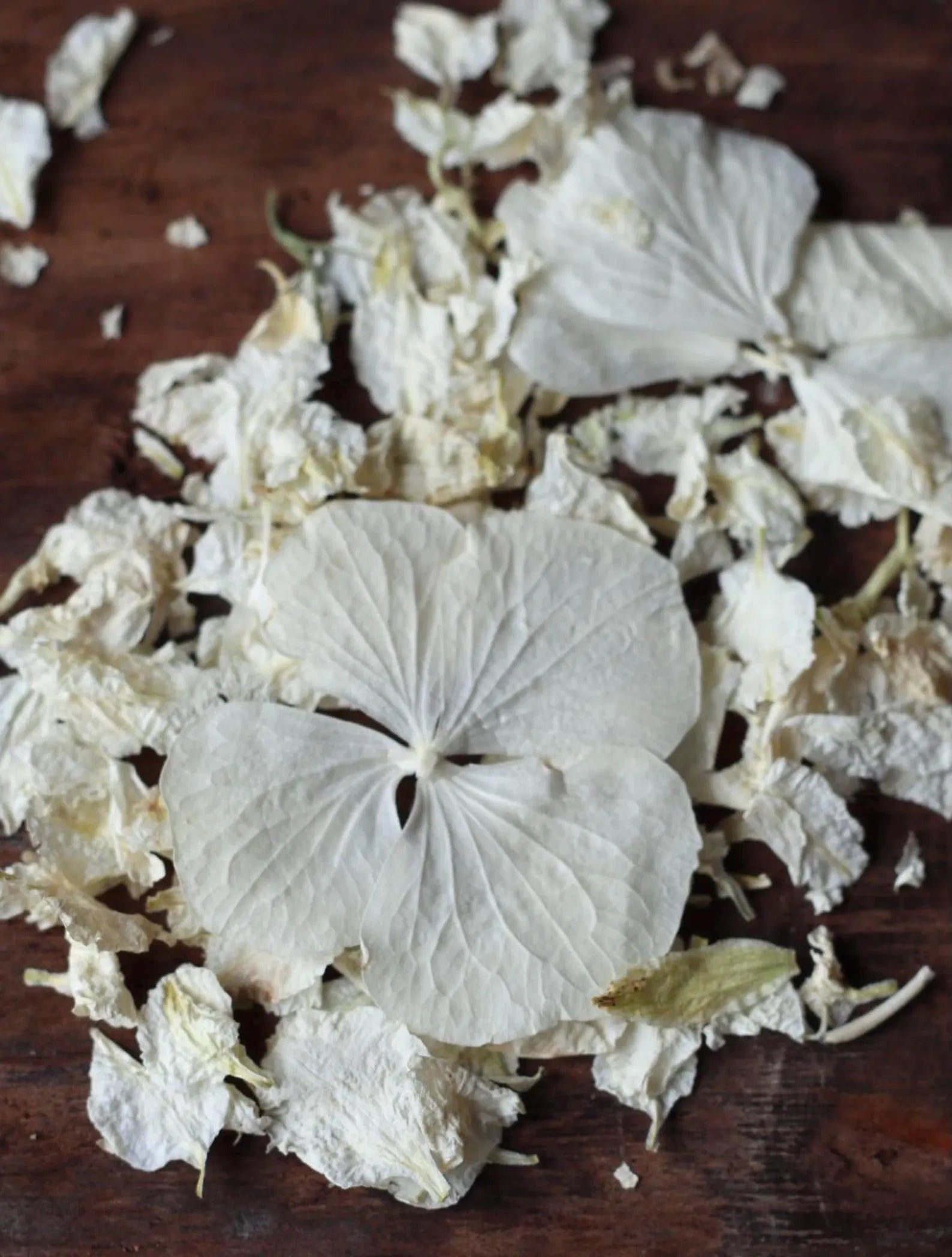 Ivory Dried Flower Confetti Bags