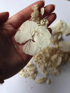 Ivory Dried Flower Confetti Bags