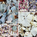 Personalised Dried Flower Confetti Bags