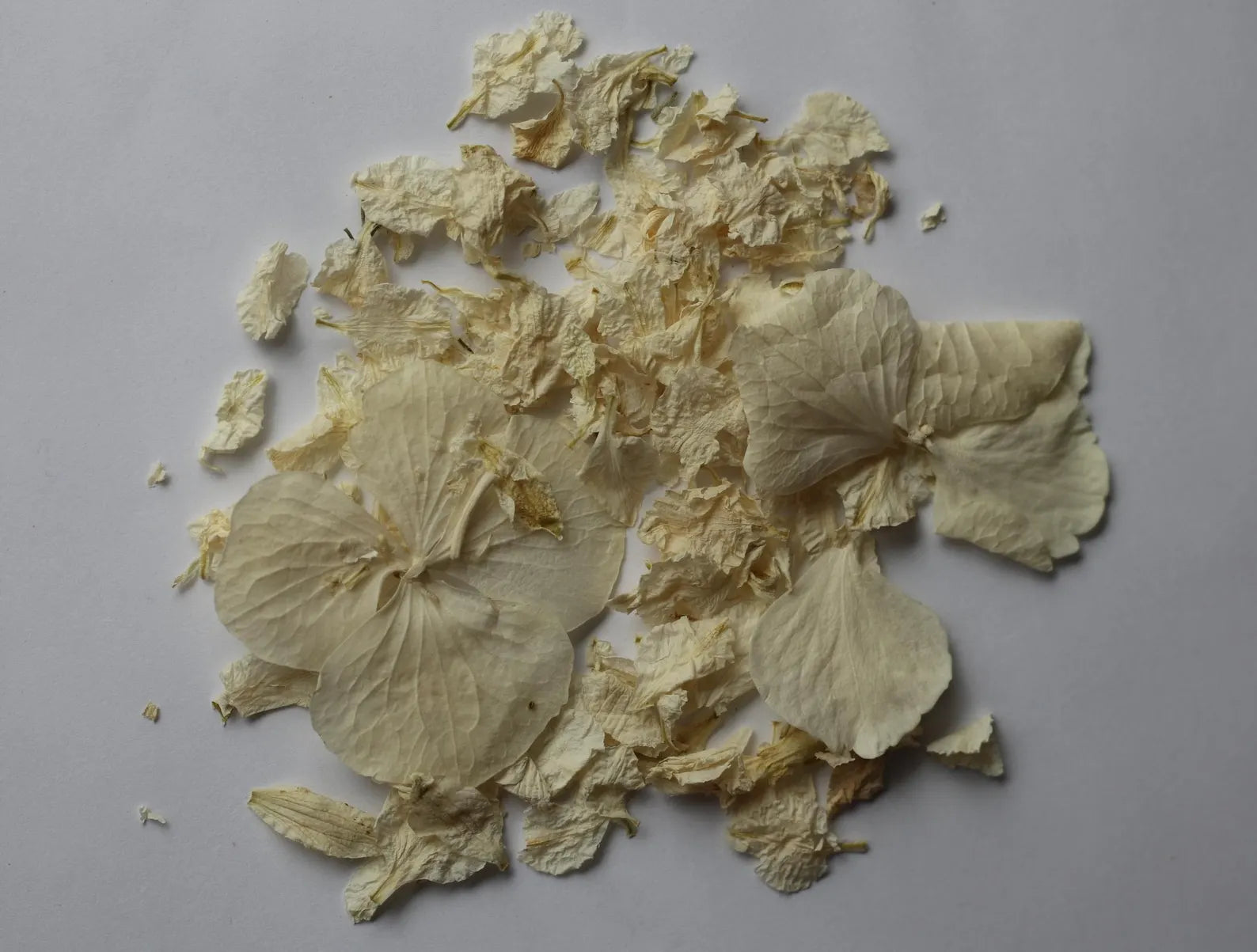 Ivory Dried Flower Confetti Bags