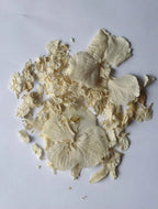 Ivory Dried Flower Confetti Bags