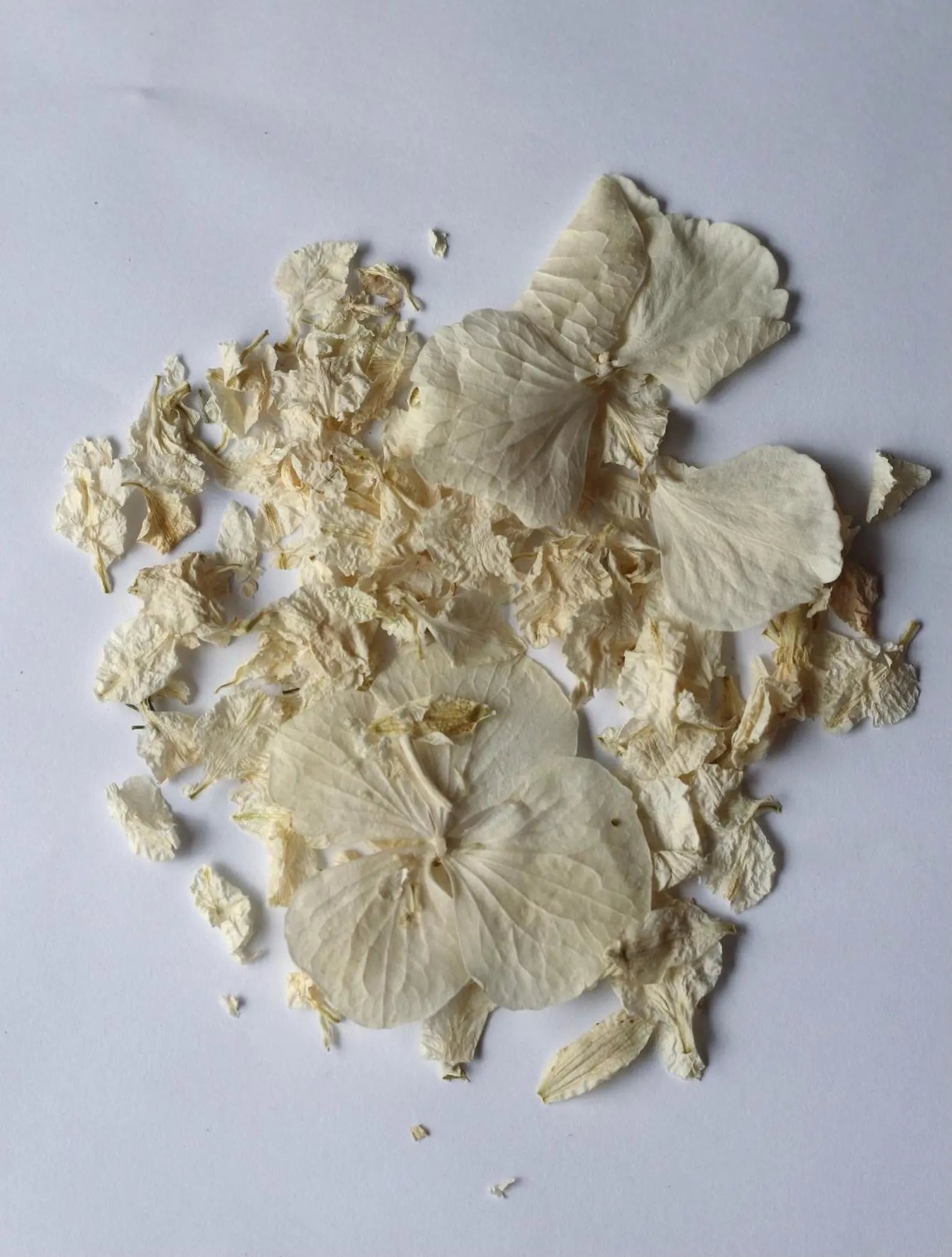 Ivory Dried Flower Confetti Bags