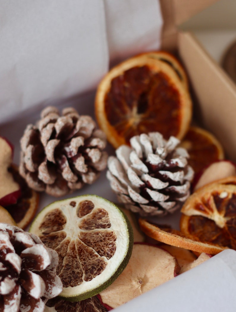 Christmas Dried Fruit Craft Box