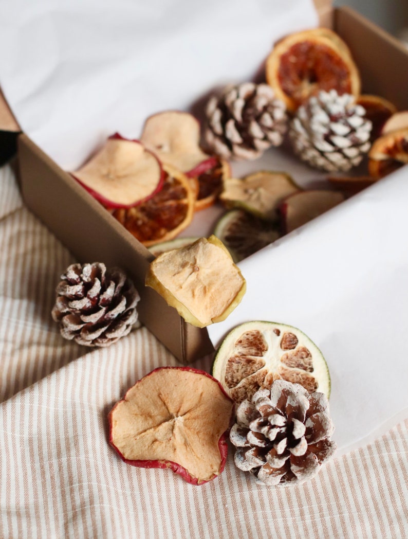Christmas Dried Fruit Craft Box