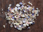 Pastel Dried Flower Confetti Bags