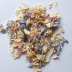 Pastel Dried Flower Confetti Bags