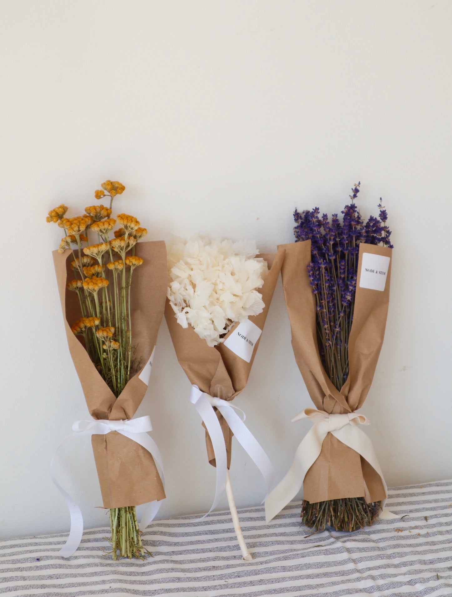 Dried Hydrangea Stem