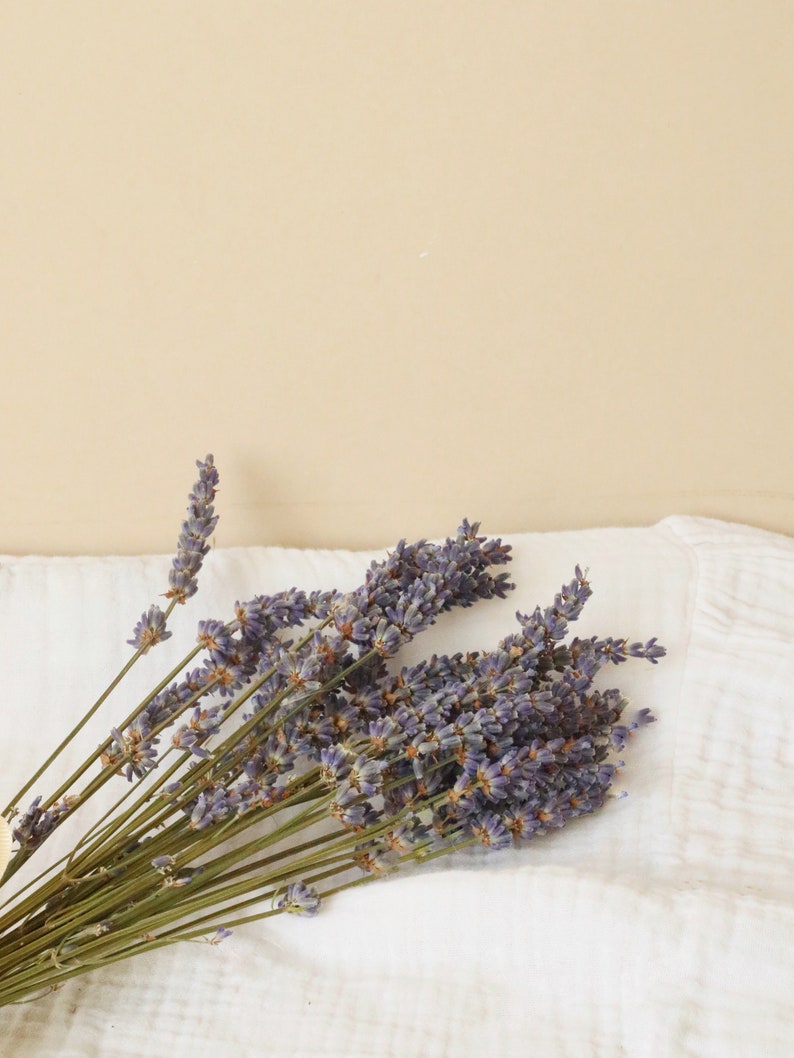 Naturally Dried Lavender Bunch for Aromatherapy & Home Decor